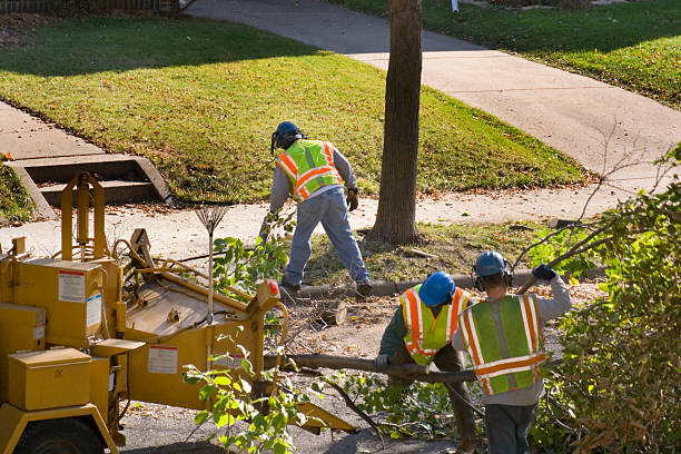 Best Lawn Mowing Services  in Tuba City, AZ